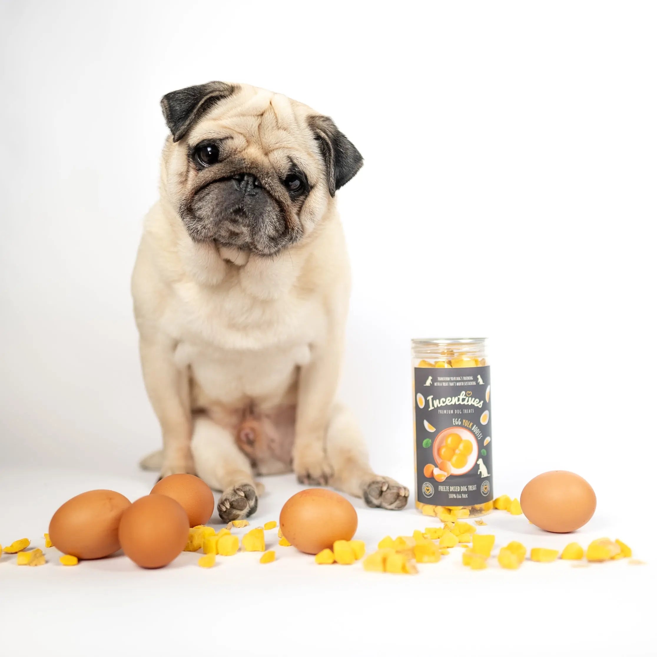 Egg Yolk Boosts Incentives Pets